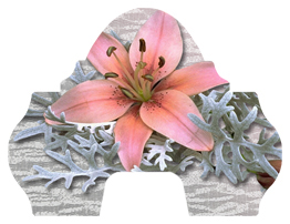 DARAY-L-023 Pink Lily